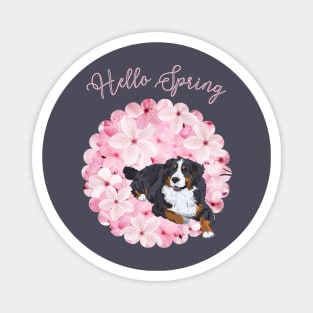 Hello Spring with Bernese Mountain Dog and Sakura Flower Circle Magnet